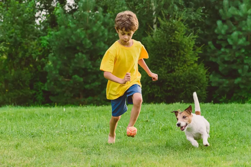 cachorro brincando com crianca