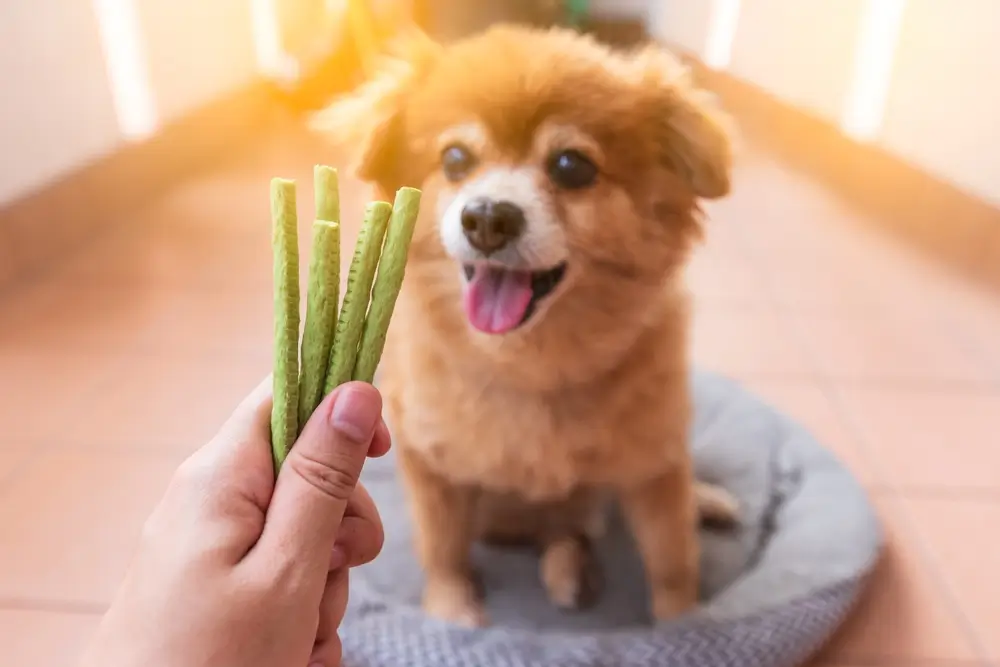 petiscos caseiros para cachorro