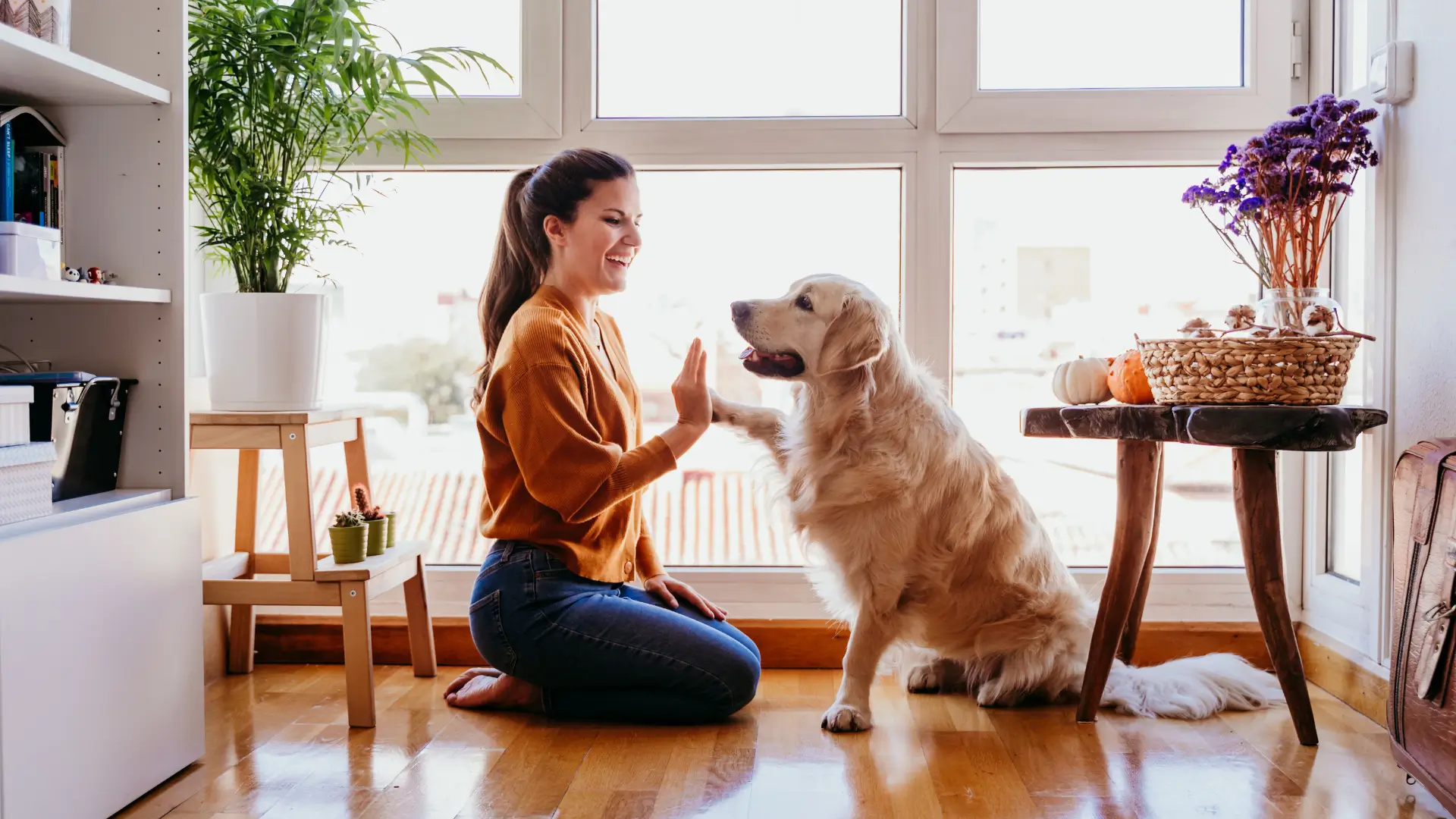 onde colocar o tapete higienico em apartamento