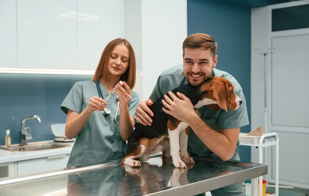 primeira vacina do cachorro