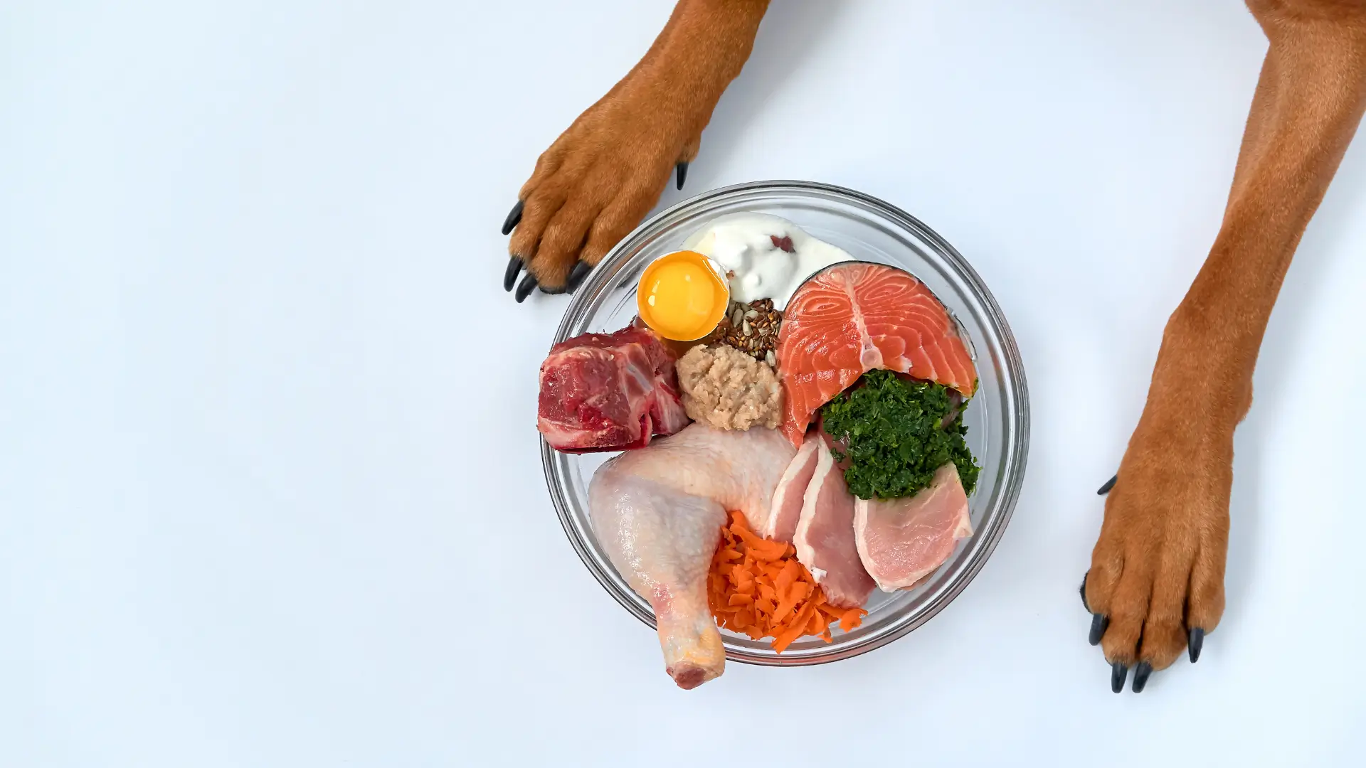 quantidade de comida natural para cachorro