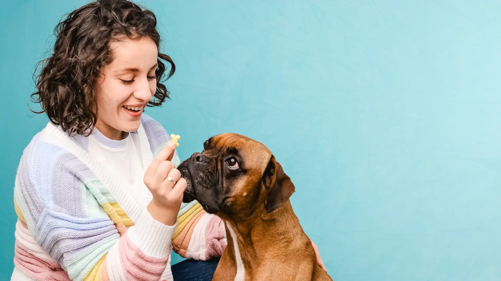 quantos dias demora para adestrar um cachorro