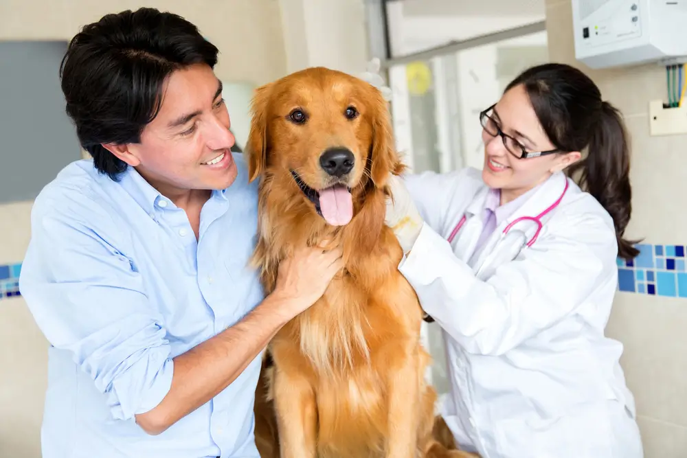 vacina de gripe para cachorro