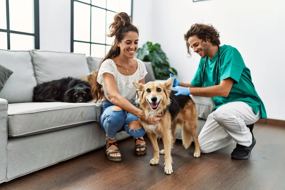 vacinas para filhotes de cachorro