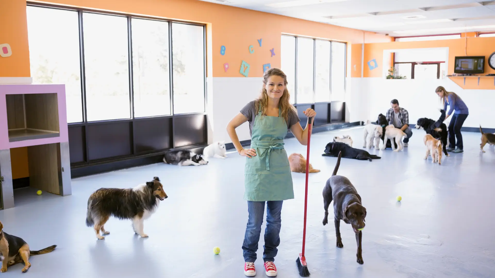 cachorro em creche cuidados