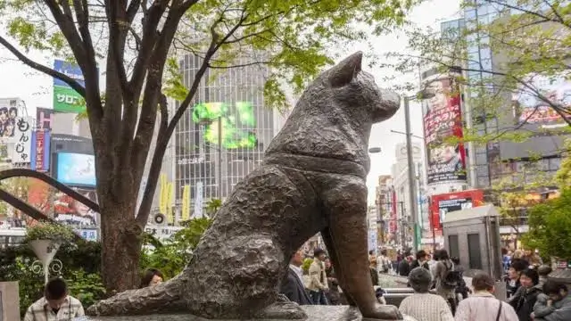 hachiko estatua