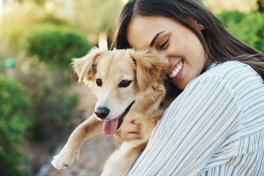 lugares para adotar cachorros