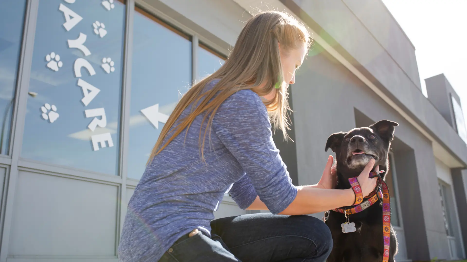 quais sao os principais beneficios da creche para o bem estar canino