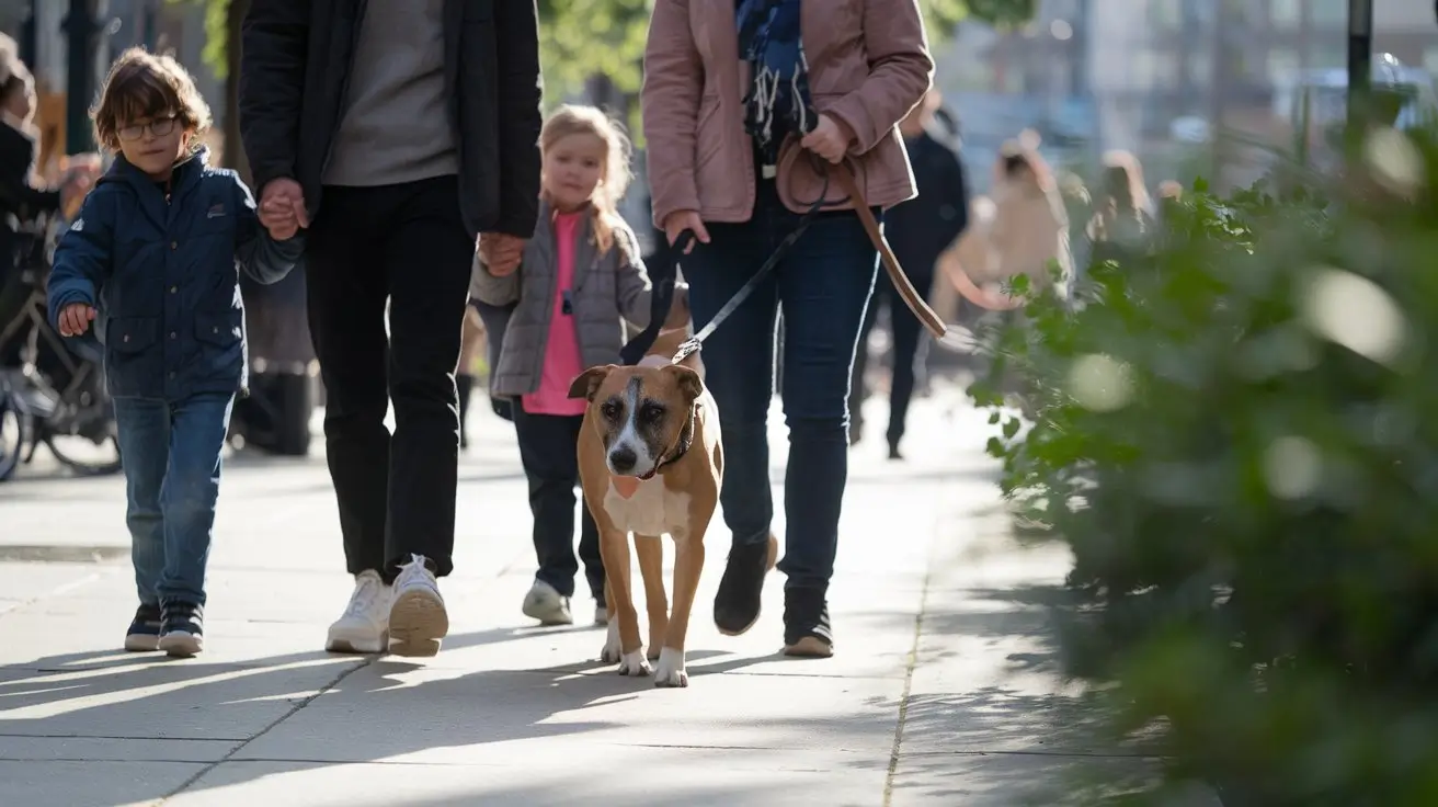 melhores guias para cachorro