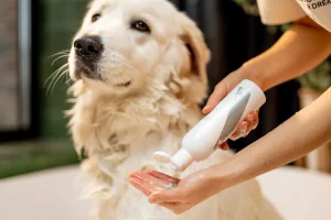 qual-o-melhor-condicionador-para-cachorro