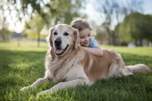 golden-retrive-com-crianca